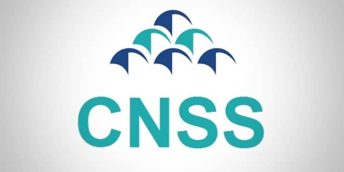 CNSS Recrutement de 848 collaborateurs pour l’exercice 2022